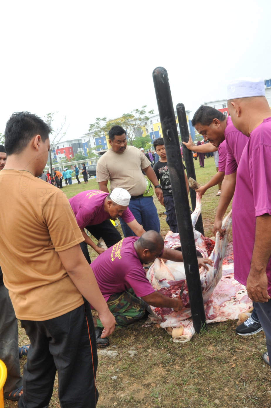 PRO15 150 KORBAN HAS 6817